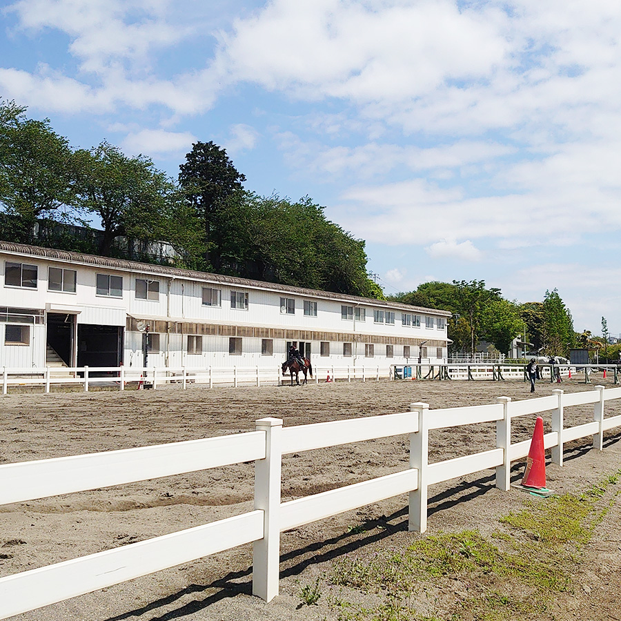 ペガサス乗馬クラブ