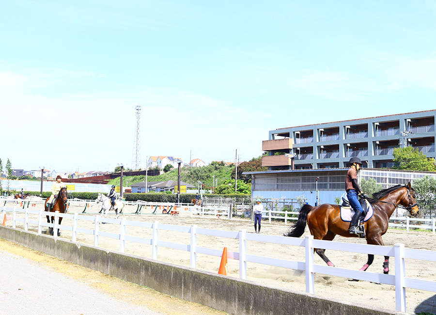 ペガサス乗馬クラブ