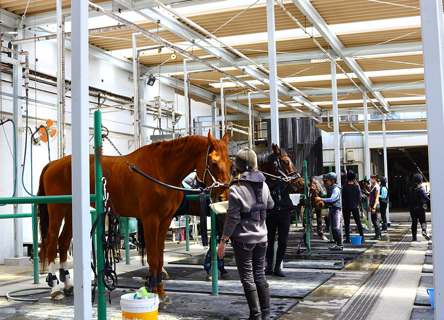 ペガサス乗馬クラブ