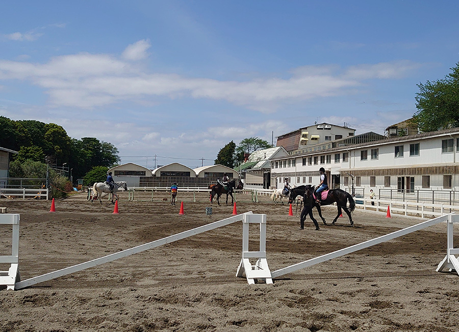 ペガサス乗馬クラブ