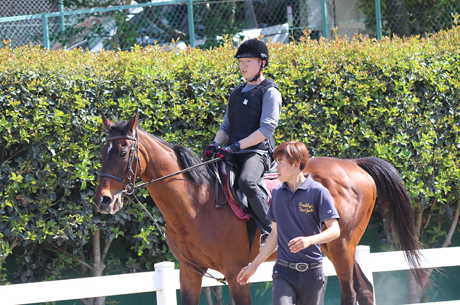 体験乗馬コース