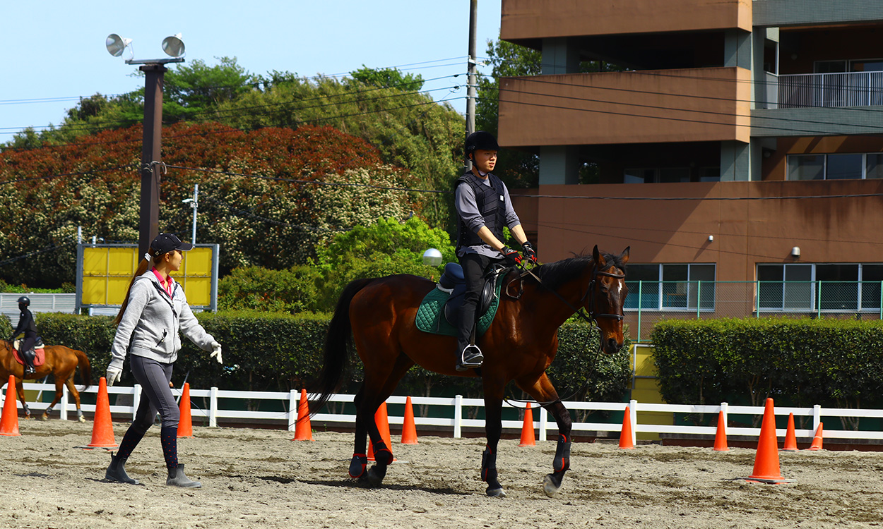 ペガサス乗馬クラブ