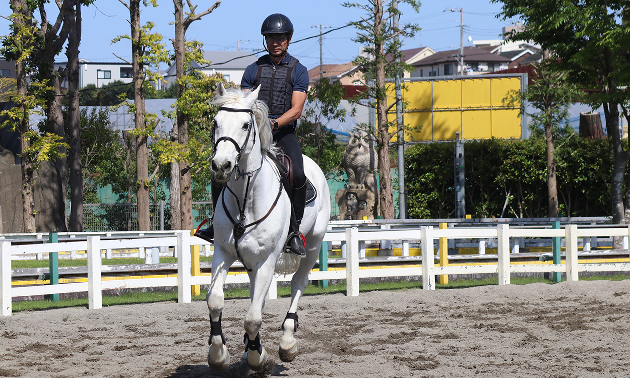 ペガサス乗馬クラブ