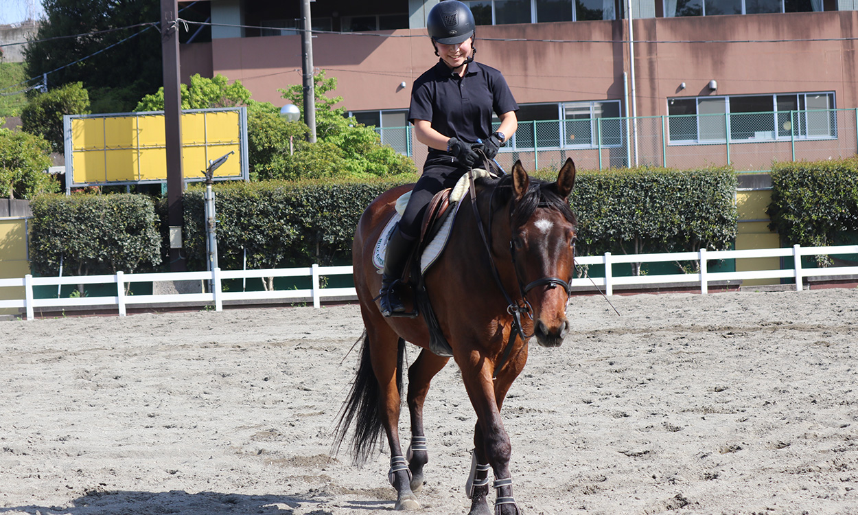 ペガサス乗馬クラブ